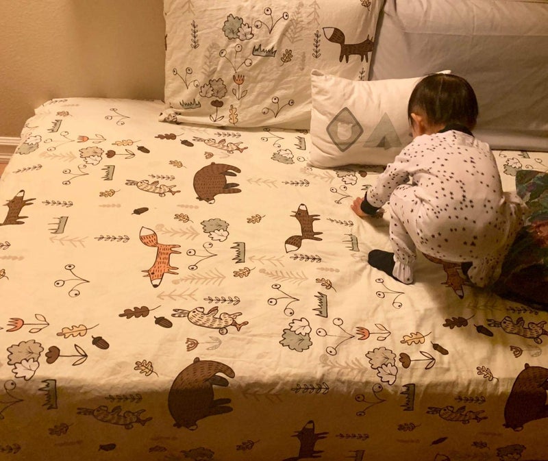 Houseri Beige Bear Comforter Set Twin Size 3 Pieces Toddler Girls Boys Woodland Theme Cartoon Bedding Sets Ultra Comfy Fox Rabbit Forest Animal Print Breathable Soft Bed Quilt Blanket Twin Kids Gift - Image 5
